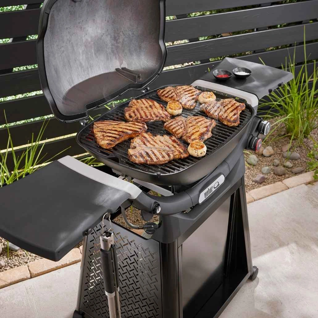 Gratar Gaz Weber Q2800N + suport permanent +Regulator - imagine 5