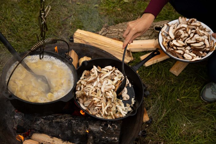 wild-cooking-ceaune-oale-tigai-39